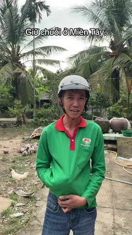 Chuỗi mấy ní ơi #lamlongthuc 