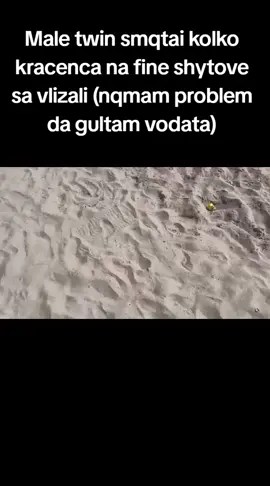 #fyp #viral #trending #real #meme 