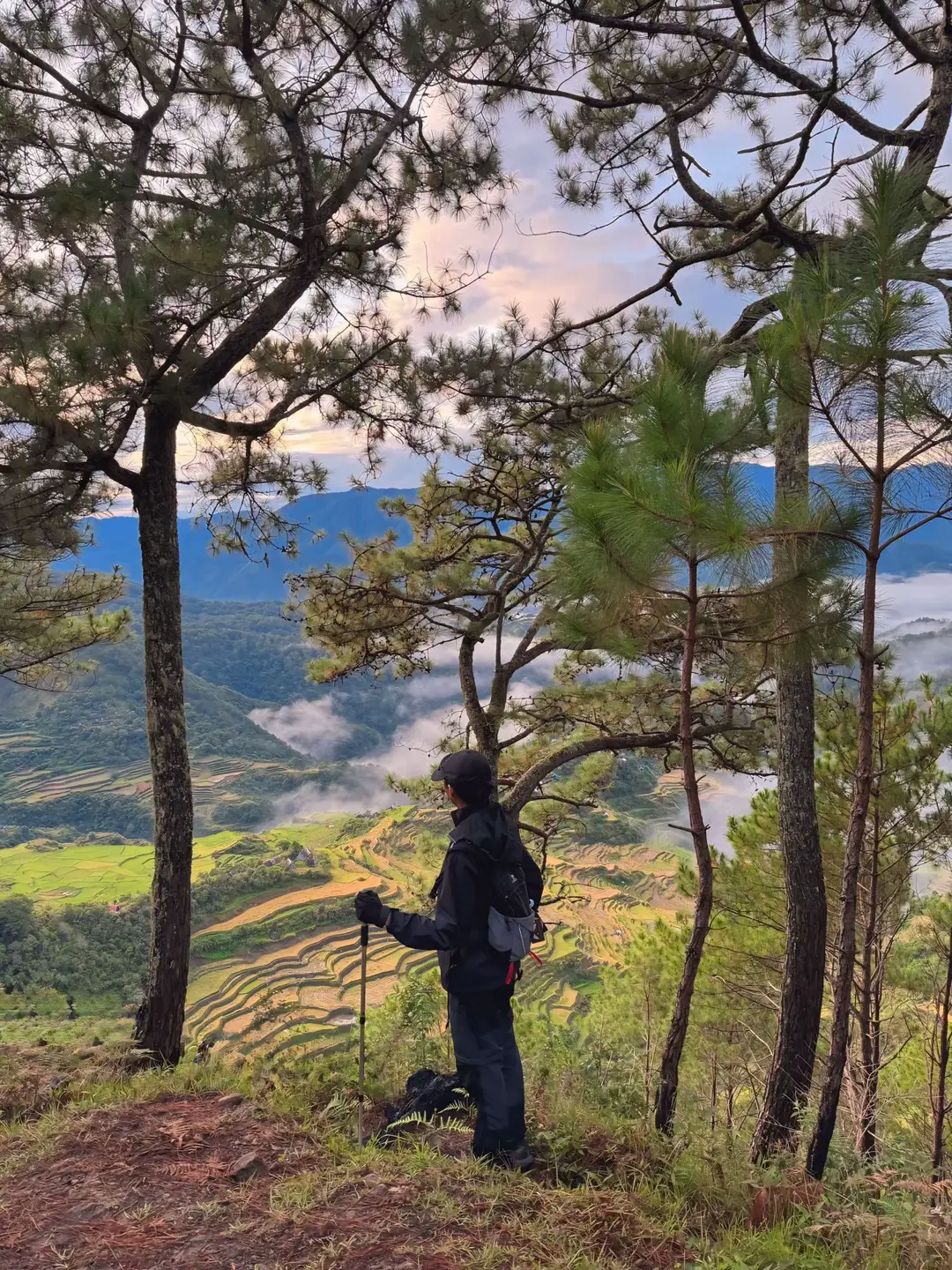 Finally see the stunning Maligcong Rice Terraces 🌾 A hidden gem worth visiting. 🌿❤️ #maligcongriceterraces #mtkupapey #mtfato #fyp #foryoupage 