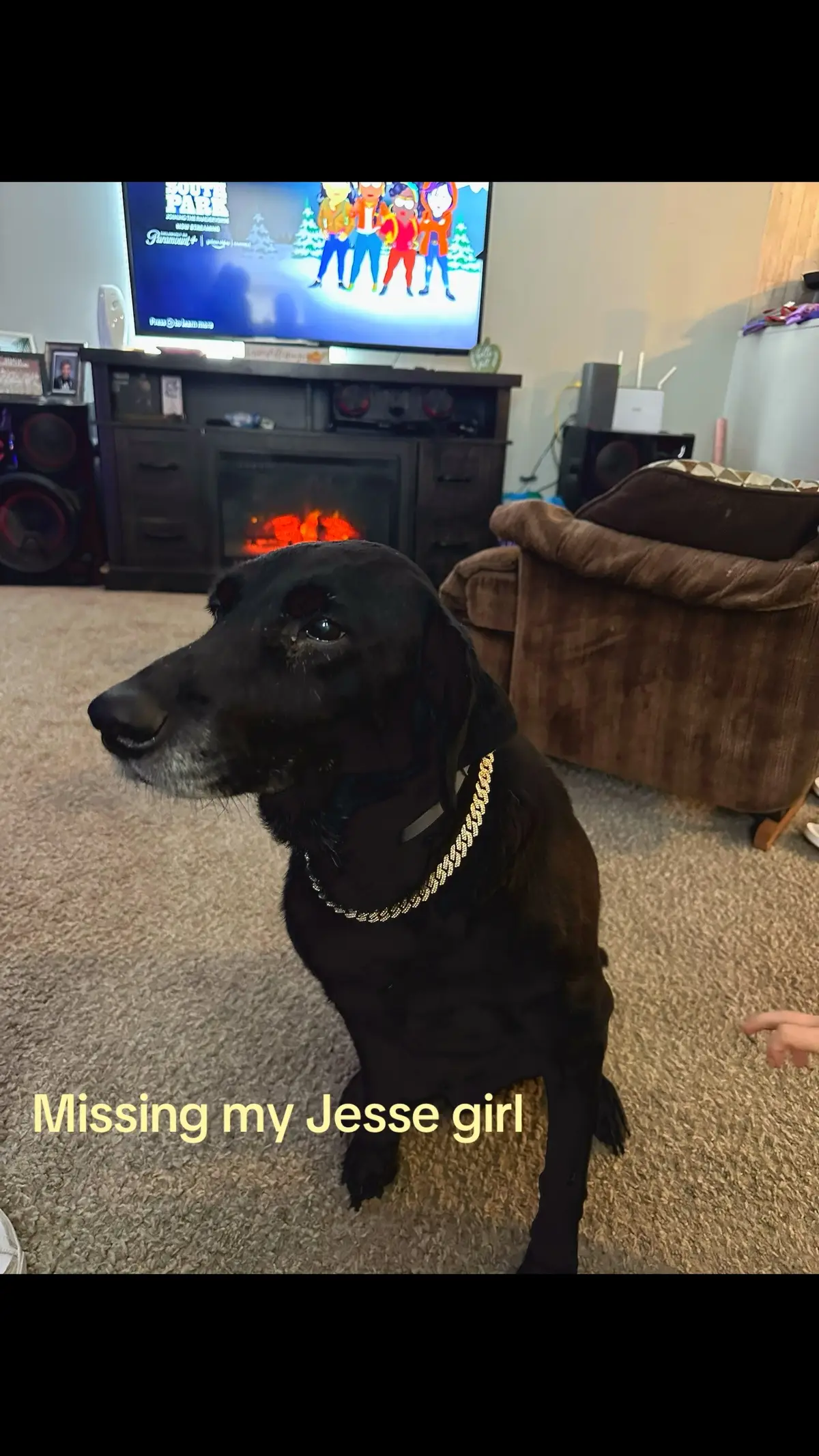 Missing my Jesse girl. 