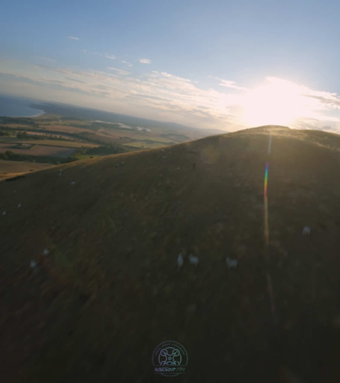 It was so windy I almost bottled it 😅 wanted to fly up and down the line baked in sunshine but there was horses down below, I couldn’t chance spooking them #fpv #fpvdrone #edmtiktok #trancecommunity #fyp 