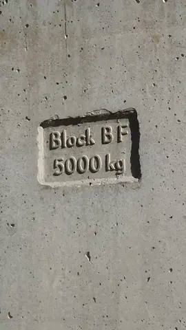 #🤣👍 