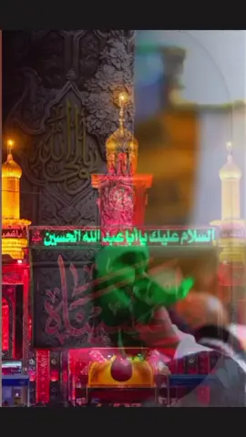 #متابعة_قلب_تعليق_مشاركة_ 
