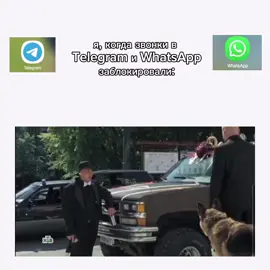 #врекомендации #смс #гнездилов 