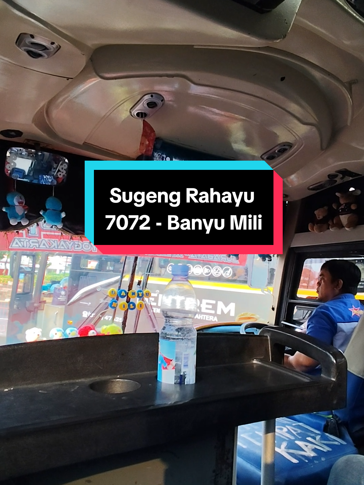 bungurasih situation bersama lumba-lumba🐬🐬#fyp #sugengrahayu #sumbergroup #bungurasih #busjatim 
