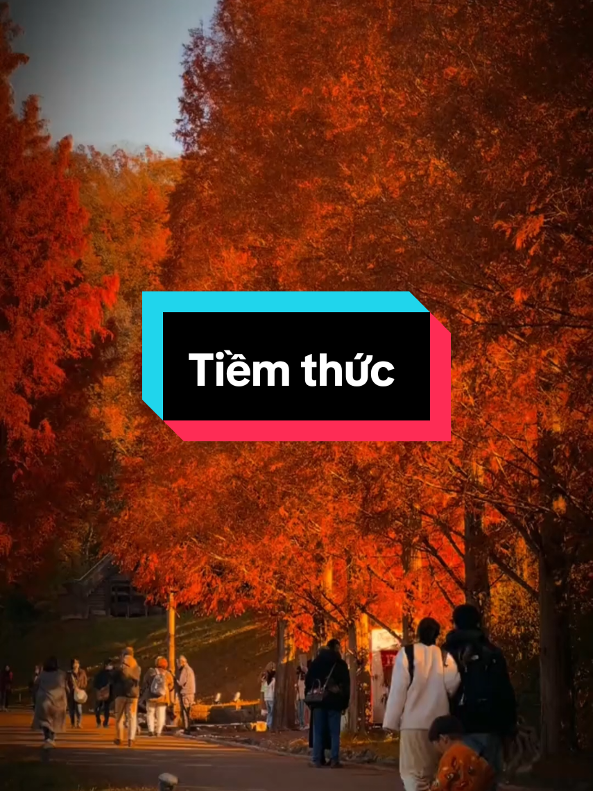 Tiềm thức #tiemthuc #trietlycuocsong #baihoccuocsong #sachhaytv #sachhay 