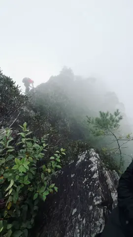 tidak ramah untuk pemula #Hiking #taiwan