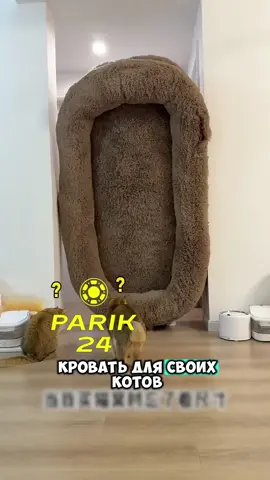 #факты #viral_video #foruyou 