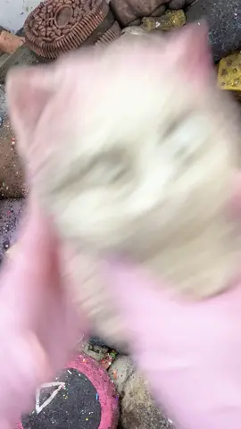 CLEANING SQUISHY ASMR 🐱🐱Cat#asmr 