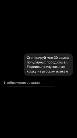 Кошатники, наш ответ * * #chatgpt #чатгпт  #нейросеть #кошка #кошки #кот #cat 