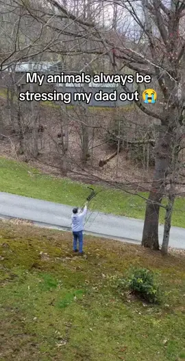 Sorry dad, I seem to get the special ones. #animalsoftiktok #animalvideos #dadsoftiktok #catbehavior #cattok 