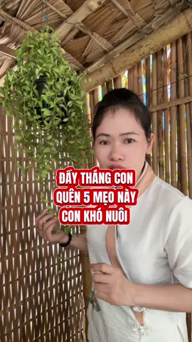 Mẹo cúng đầy tháng cho con #mebimsua #phunu #lamme #sinhcondenuoi #nguyenthiha 