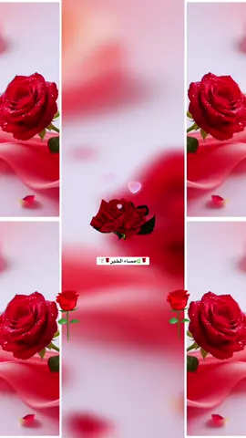 #🌹✨🌹 #اكسسسسسبلورررررررر♥️♥️ #اكسسسسسبلورررررررر♥️♥️ 