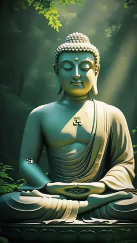 🍃 “Con không giỏi nhìn người… nhưng con tin, lương thiện sẽ tự gặp lương thiện.” #phatphapnhiemmau #phatphap #Tinhthuc #luongthien #xuhuong 