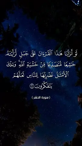 #الزين_محمد_احمد #ارح_سمعك_بالقران #creatorsearchinsights #creatorsearchinsights 