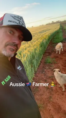 #aussie #farmer #ajana #wa #australia #country #life #morning #winter 