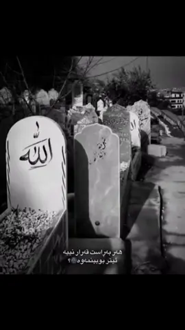با هەناسەیەکی سارد هەڵکێشی لەسەر گۆڕی ئازیزێکت، بیری بکەیت و سەیری خۆڵی سەر جەستەی مردوی بکەی ئەوکات لە مانای ئازار تێدەگەیت☺️💔>>ڕۆژانێکی سەخت تێدەپەڕێنم بێ تۆ ئەی ئازیزی ١١ ساڵەم…🌚💔لە هەمووی زیاتر بۆ ئەوە ئازار دەچێژم کە ڕۆژێک لە ەۆژان بەپێی پێویست لەلات نەبوبێتم یان گرنگیم پێ نەدابی…🥰💔توخوا لێم ببورە ڕۆسەکەم ئێ؟💔☺️.. بوو بە دوو مانگ لێم دوری زوا قەزاو بخا لێم کەسەکەم چۆن بێ خۆتت کردم ئەو کاتەی تۆ ڕۆشتی دڵخۆشی منیش ڕۆیی😅💔زۆر سەختە باوەر بکەم کە ئازیزی ١١ ساڵەم ئاوا زوو جێم بهێڵێت و بڕوات ڕۆشتنێک کە قەت نایبینمەوە🌚. قەت لەبیرو ناکەم تاقانەکەم😭💔بچکۆلە نازدارەکەم🥹💔کچە قژ لولەکەم💔خوا قەزای خۆڵی سەر دەموو بخا لە جەرگم☺️💔یاخوا ماڵی سەڕەتان بڕمێ وا تۆی لێ سەندم🌚💔. #foryou #foryoupage 