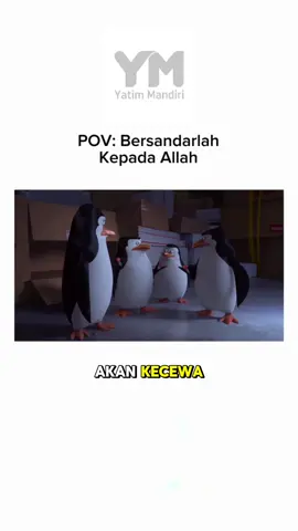 Sandarkan hatimu pada Allah, maka engkau tak akan perna keceawa ✨ terbar kebaikanmu untuk adik-adik Yatim, dhuafa serta mereka yang membutuhkan melalui s.id/nyalakankemerdekaan @yatimmandiri #yatimmandiri #Bisabahagia #reminderkebaikan #Nyalakankemerdekaan #uas  