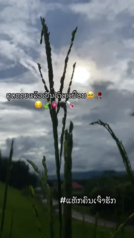 #เทรนด์วันนี้100ล้านวิว #ອ້າຍເຊ້ຍຕົວຈີ່ງ #🥹🥹🥹🥹🥹🥹🥹🥹🥹🥹🥹🥹🥹🥹🥹🥹🥹🥹🥹🥹🥹🥹🥹🥹🥹🥹🥹🥹 