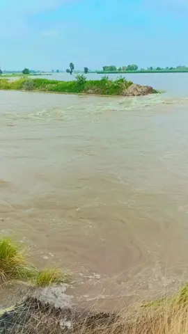#flood#highflood #dangerousflood#viralmyvideo #fyp 