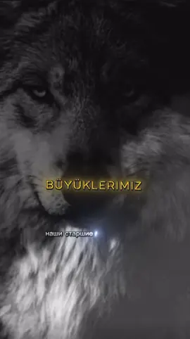 #motivation #özlüsözler 