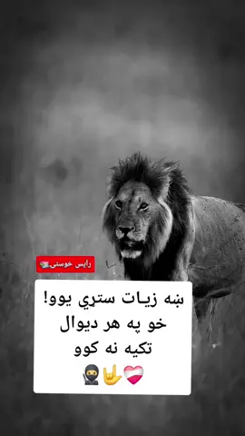 #viral #vedio #challenge #خوستوال💪❤️🇦🇫 