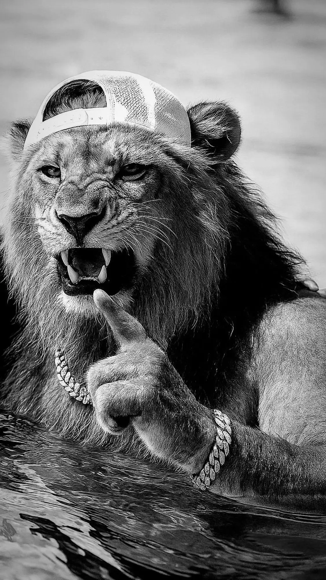 #طرابلس #سوريا🇸🇾 #لبنان #tripoli #lebanon #fyp #fypシ゚viral #lion #العواد #viral 