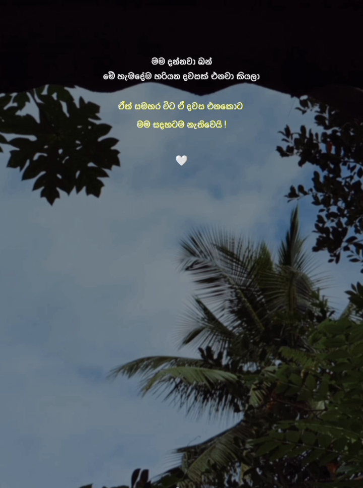 🥺🤍#foryou #foryoupage #viral #viral_video #tiktok 