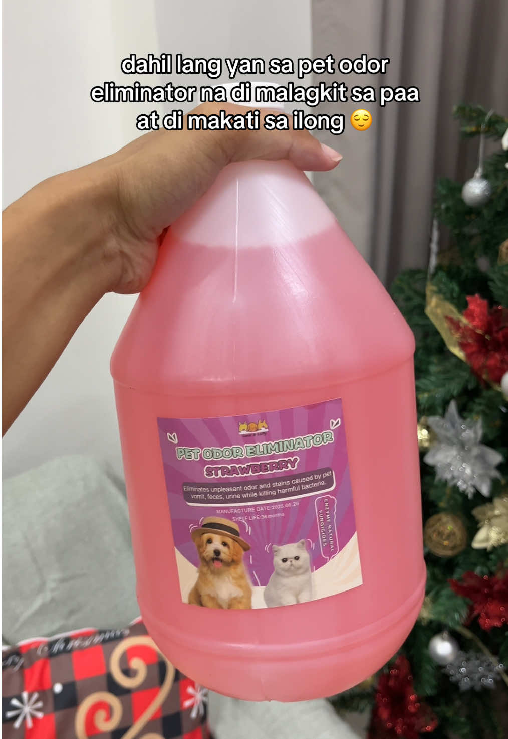 amoy fresh strawberry na ang bahay #petodoreliminator #homecleaning #hygiene #CleanTok 