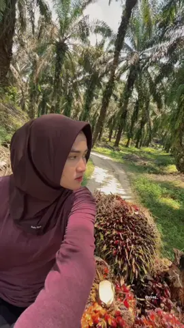 🫦 #kulisawit #xybca #fyp #petanisawit #trend 