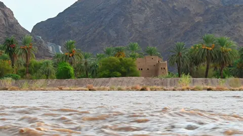 تصوير وتصميم المبدع @يوسف حوكاش  #محسن_ال_مطارد #اكسبلور #نجران #تيك_توك #نجران_السعوديه 