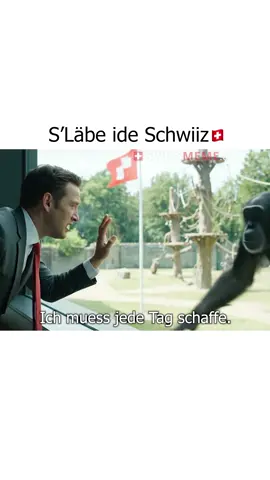 Blibt nix übrig😭😂 Instagram: Swissmeme
