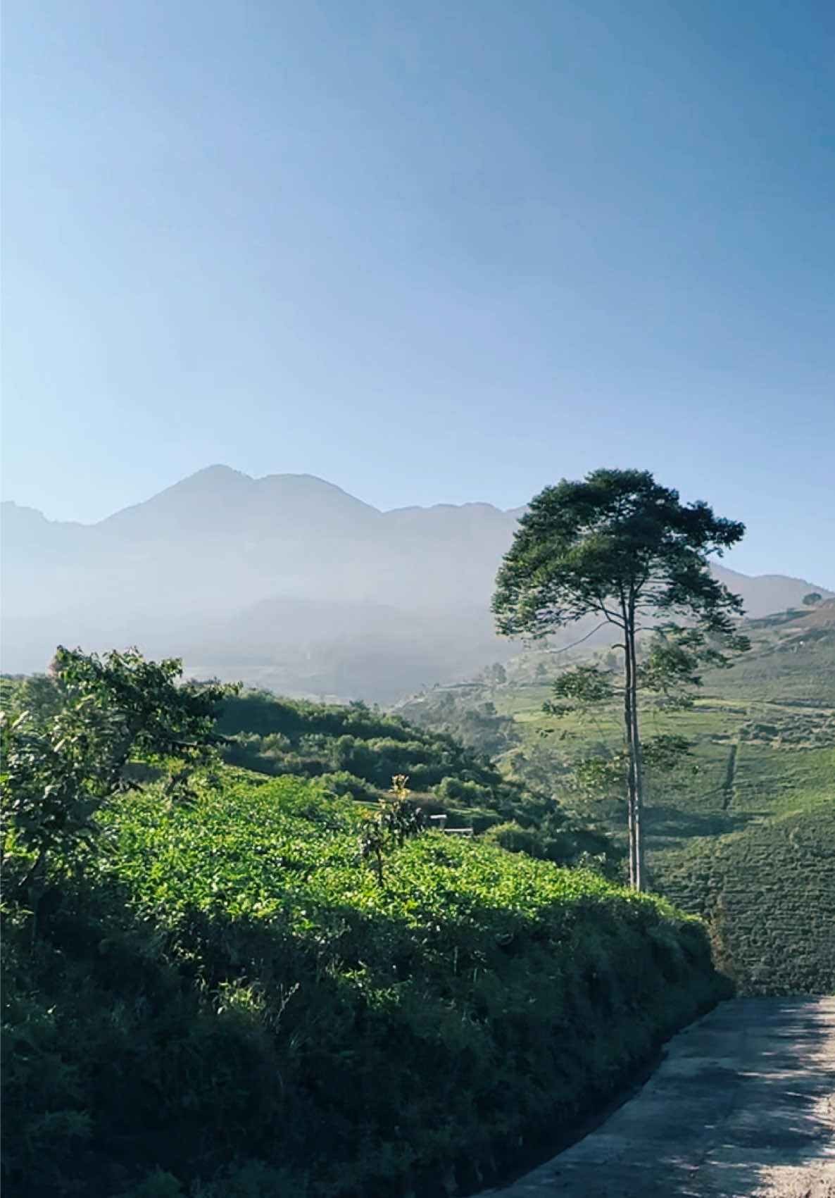 pesona kemuning karanganyar🤩 #kebuntehkemuning #kemuningskyhills #wisatakaranganyar #explorekaranganyar #karanganyar24jam 