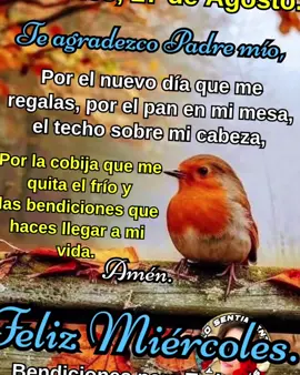 Buenos días 🌞☀️😇🤗🤗❤️🐕#fyp #LIVEIncentiveProgram #LIVEwithlowfollowers #PaidPartnership 