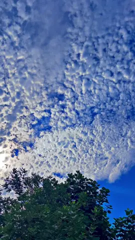 View ❤️👀🥀#pindawale #foryoupage #tiktokpakistan #1millionaudition #communitytiktok 
