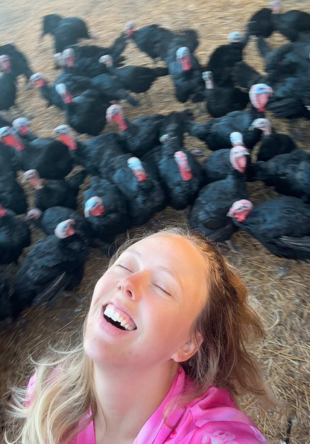 it’s my cult & i’ll spin if I want to #farmtok #turkeys 