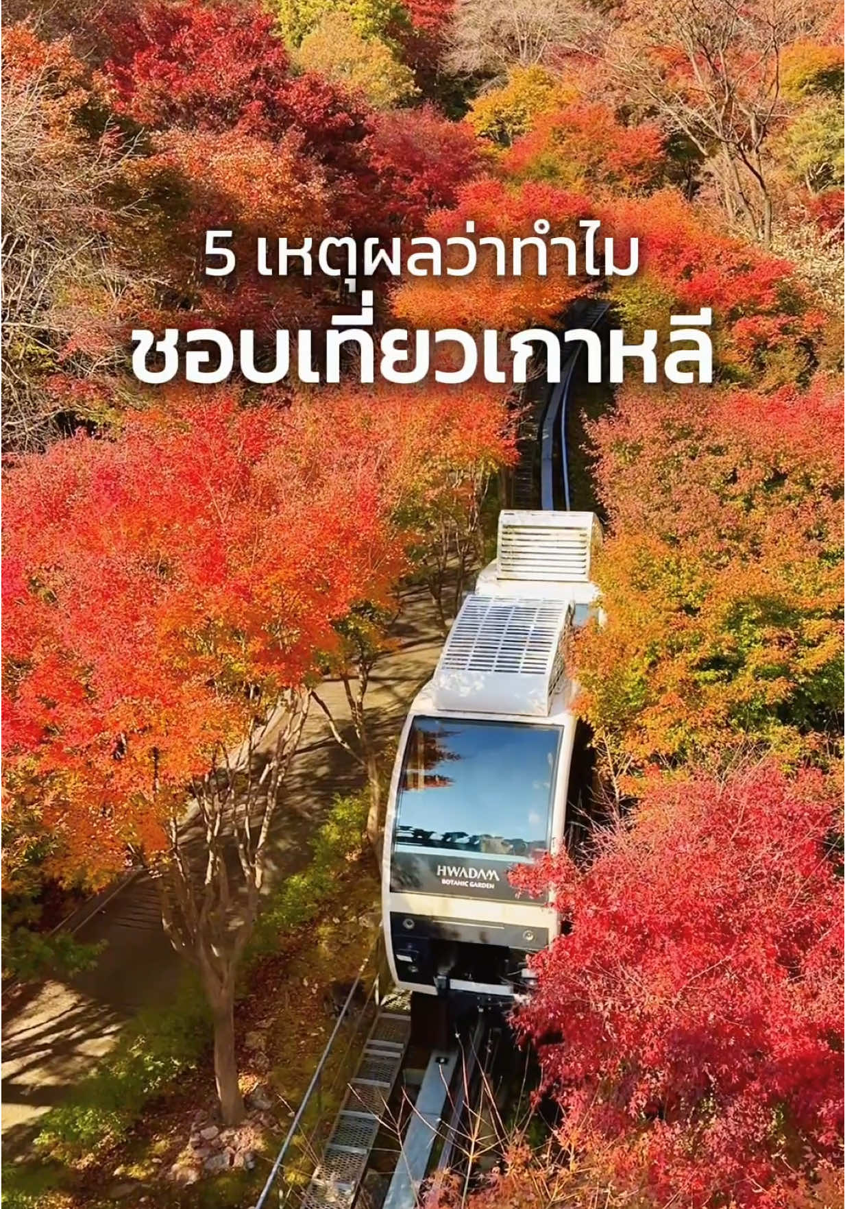 5 เหตุผลที่ทำไมชอบมาเที่ยว เกาหลี ทุกปี 🇰🇷✈️ ใครชอบเกาหลีแบบไบร์ทเจอกันที่งาน SAWASDEE KOREA ที่ ICONSIAM 30 –31 สิงหาคมนี้ รวมครบทั้งเที่ยว พร้อมกิจกรรมและดีลพิเศษต่าง ๆ เหมือนได้ตั๋วเปิดประตูไปเกาหลีเลย   #KTOThailand #ImagineYourKorea #SAWASDEEKOREA #welcomes  ##VisitKorea