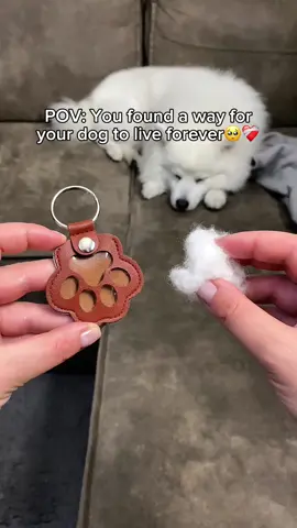 Keep your Puppy always next to you🥺🐶 #dog #keepsake #doglove #doglover #fur 