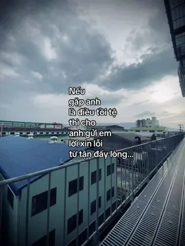 “Nếu gặp anh là điều tồi tệ thì cho anh gửi em lời xin lỗi từ tận đấy lòng…” #nvd_032003 #xuhuongtiktok #tamtrang #nvd_282003 
