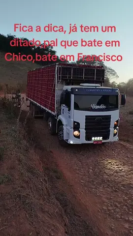 pal que bate em Chico, bate em Francisco,pega a visão,bora pra cima #pal #chico #francisco #visao 