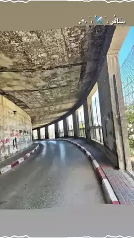 😎✨. 