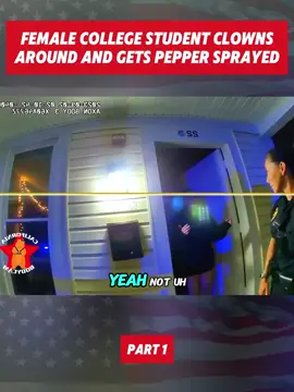 Part 1 #bodycamcops #cops #police #crime #foryou 