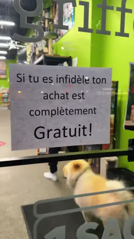 100% GRATUIT pour mes infidèles 💔  (Promo n’est plus valide, désolé 🥲)  Merci à @boreal.petfood  Ici on parle animal ! 💚 3015 boul de la concorde est laval duvernay 📍 2815 rue masson montreal 📍 @pattesetgriffesduvernay @pattesetgriffesmasson  🕦Horaire d’ouverture🕦 Lundi : 9am – 9pm Mardi : 9am – 9pm Mercredi : 9am – 9pm Jeudi : 9am – 9pm Vendredi : 9am – 9pm Samedi : 9am – 5pm Dimanche : 9am – 5pm #infidelidad #fyp #chien  #viral #humour      