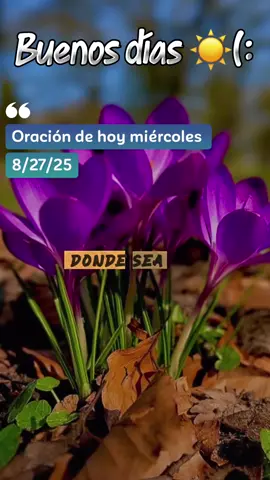 #CapCut oración de la mañana de hoy miércoles 27. De agosto #oraciondelamañana #virlatiktokvideo #oracionespoderosas #bendiciones🌹❤️🙌🏻🙌🏻🙏 