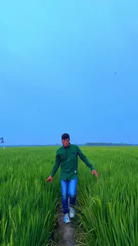 Goyang biar cepat panen