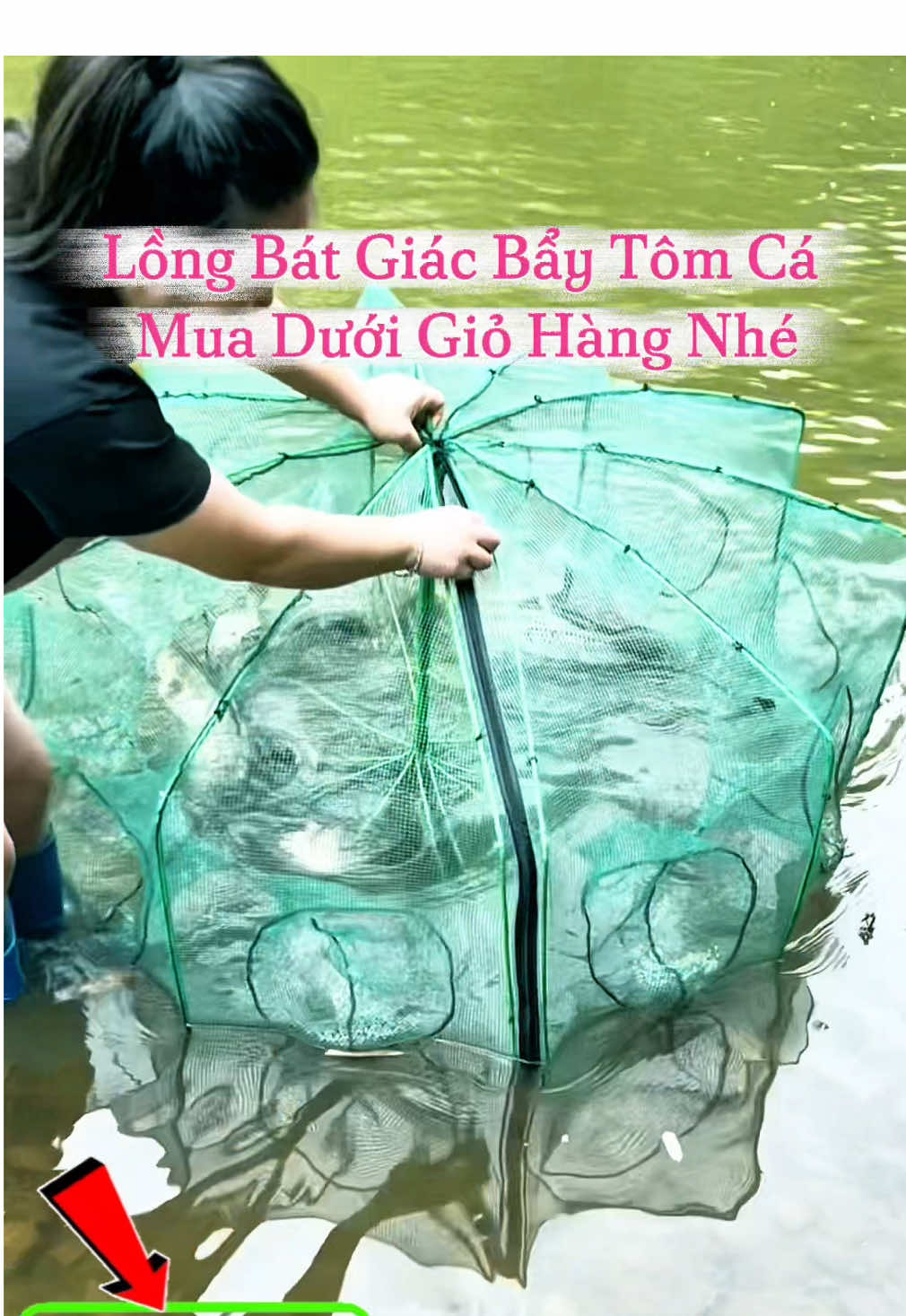 Lồng Bát Giác Bấy Tôm Cá #xuhuong #vairal #trendingtiktok #longbatgiac #longbatca 