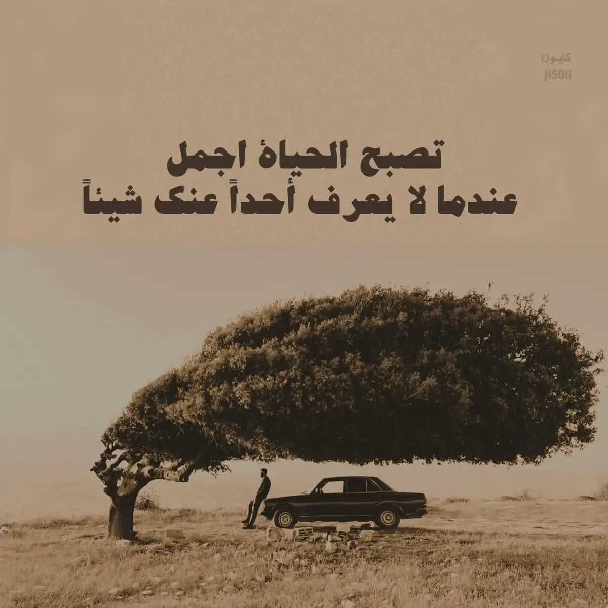 #اكسبلورexplore 