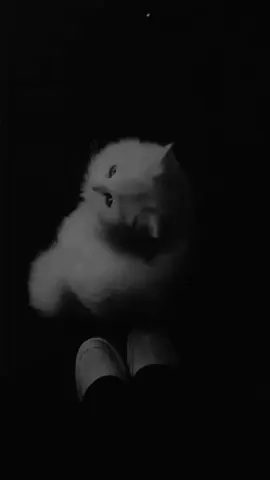ســــــــانضم الشــعر مدحـــــــــا فيــــك مـــــــنطلقا  #دعاء_يريح_القلوب_ويطمئن_النفوس 