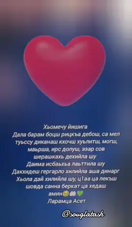 #захало #нуц #нускал #доьзал #нохчи #марнана #той #вай