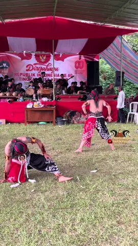 Warok stecu2 #stecustecustelancuekmalu🤪😂 #stecust #stecustecu😂 #waroktemanggungan #warok 